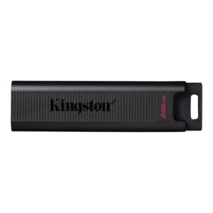 KINGSTON 256Go USB3.2 Gen 2 DataTraveler