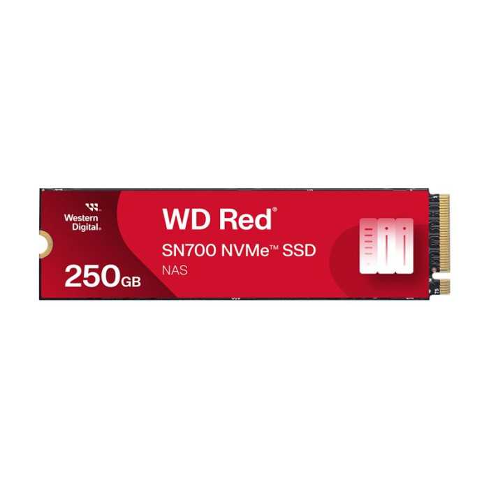 WD Red SSD SN700 NVMe 250Go M.2 2280