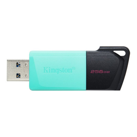 KINGSTON 256Go DataTraveler Exodia M KINGSTON 256Go DataTraveler Exodia M