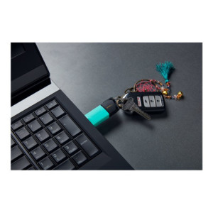 KINGSTON 256Go DataTraveler Exodia M