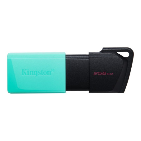 KINGSTON 256Go DataTraveler Exodia M KINGSTON 256Go DataTraveler Exodia M