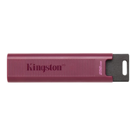 KINGSTON 256Go USB3.2 TypeA DataTraveler KINGSTON 256Go USB3.2 TypeA DataTraveler