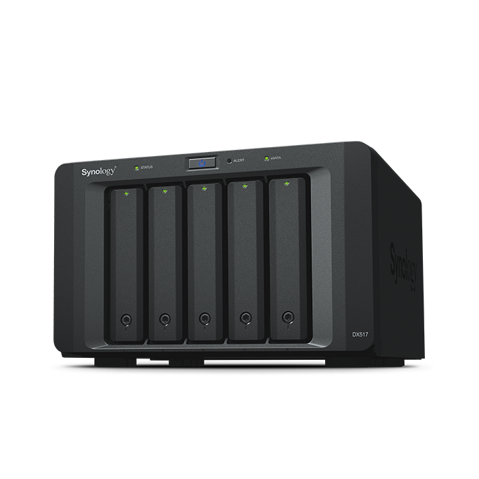 SYNOLOGY DX517