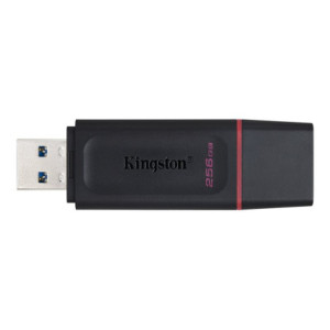KINGSTON 256Go USB3.2 Gen1 DT Bk+Pink