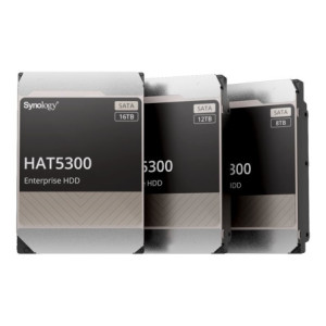 SYNOLOGY HAT5300 12To SATA HDD