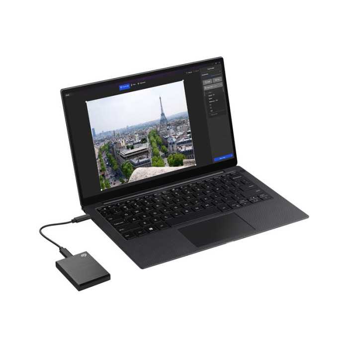 SEAGATE One Touch SSD 1To USB-C Silver SEAGATE One Touch SSD 1To USB-C Silver